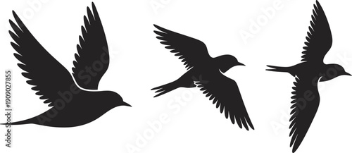 Flying bird silhouettes set isolated on white background, graceful swallow or sparrow in flight wildlife design element