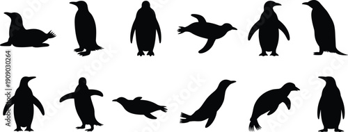 Penguin silhouettes set isolated on white background, various swimming and standing poses collection for wildlife design