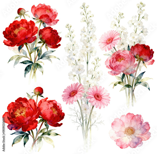 Watercolor Peony and Daisy Floral Arrangements