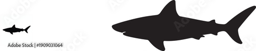 Black silhouette of a great white shark swimming isolated on a plain white background.