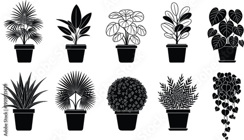 Potted houseplant vector illustration set featuring tropical indoor plants in black silhouette and outline styles isolated on white background for interior home garden decor