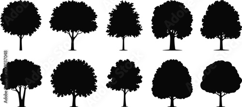 Tree silhouette collection with various deciduous park trees isolated on white background for landscape design, nature illustration and architectural presentation