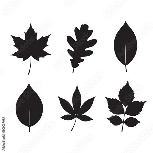 Diverse Botanical Black Leaf Silhouettes Collection for Nature and Ecology Designs