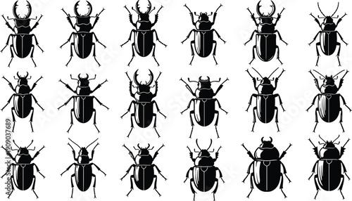 Beetle insect silhouette collection featuring various bug species, detailed body shapes and symmetrical entomology icons isolated on white background