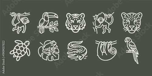 Detailed Line Icons of Tropical Rainforest Animals Collection