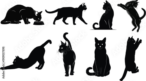 Collection of black cat silhouettes in various poses, including eating, walking, stretching, sitting, and playing.