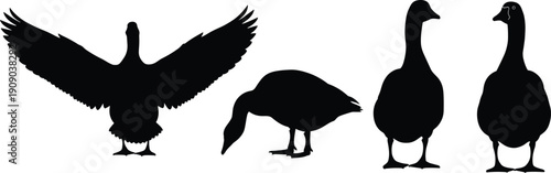  Gorilla mascot logo collection, strong ape vector illustration isolated on white background, powerful primate character branding concept