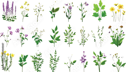 Collection of watercolor style floral with purple yellow and green hues flowers plants leaves botanical