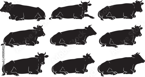 Black cow silhouettes in various positions and angles lying down