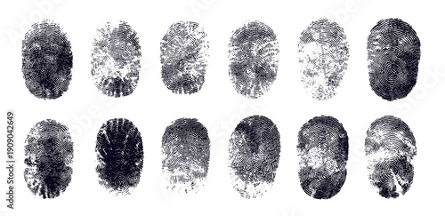 Collection of fingerprint marks, biometric identification concept, isolated on transparent cutout background