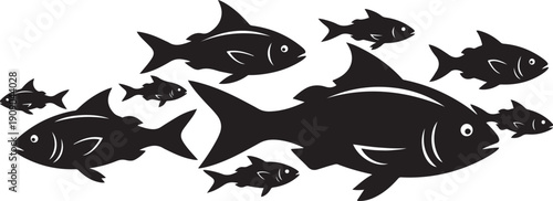 School of fish swimming together in black and white