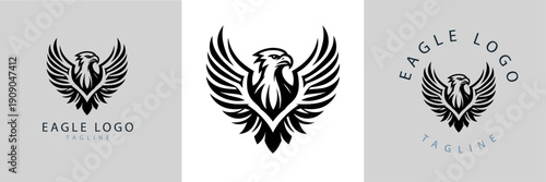 Modern minimalist black eagle logo set with spread wings, shield shape, circular badge, typography placeholder, professional brand identity design templates