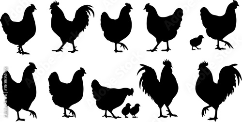 set of chicken silhouettes