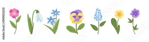 Simple Spring Vector Flowers Set Flat Style Isolated on White Background. Collection Wildflower Daisy Snowdrop Primrose Anemone Hellebore Scilla Pansy Violet Lenten Rose Lilac. Naive Illustrations