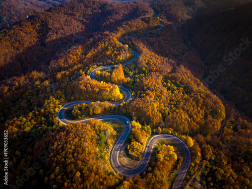 Wallpaper Mural An aerial view of the winding road through a high mountain pass, passing through dense forest Torontodigital.ca