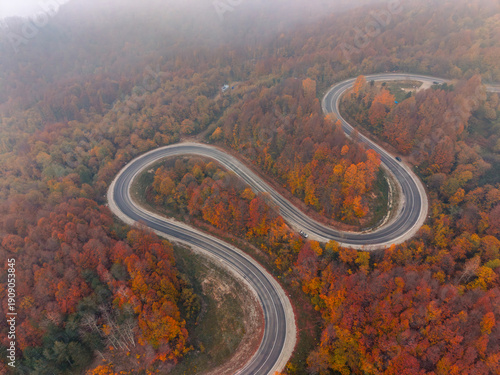 Wallpaper Mural An aerial view of the winding road through a high mountain pass, passing through dense forest Torontodigital.ca