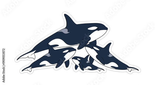 Orca Whale Family Portrait Illustration - Majestic Killer Whales Swimming Together