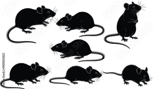 Set of black rat silhouettes in different poses isolated on white background representing rodent collection and pest control concept