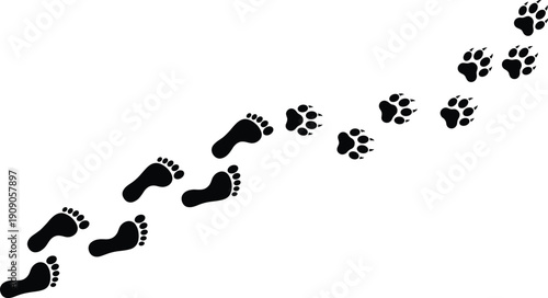 Human and animal footprint silhouettes showing walking path concept, barefoot steps and paw prints isolated on white background