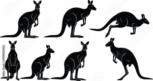 Australian Kangaroo Silhouette Vector Set with Multiple Poses Isolated Black Wildlife Animal Illustration Collection