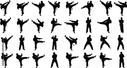 Martial arts silhouette collection featuring karate and taekwondo fighters performing high kicks, combat stances and dynamic training movements isolated