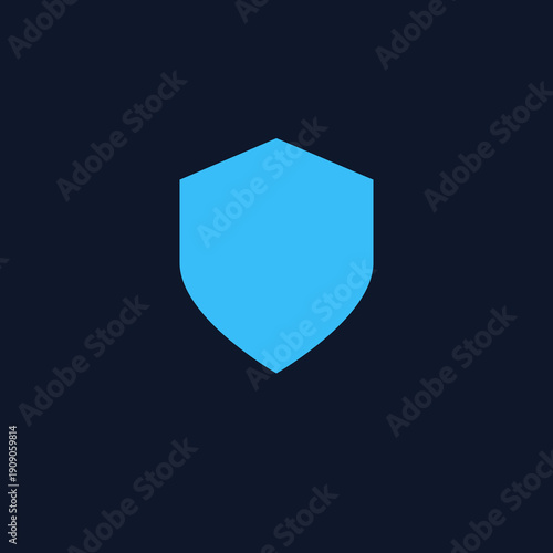 Cyber Security Data Protection Shield