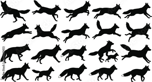 Black fox silhouette set showing wild animals in jumping running and walking poses isolated on white background for nature hunting and wildlife design projects