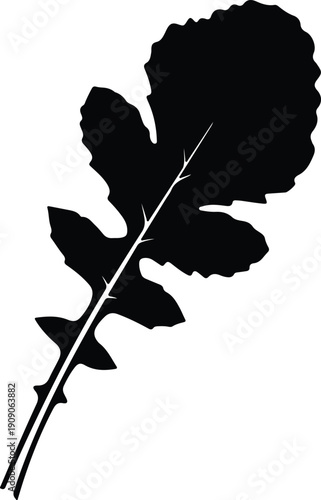 silhouette arugula leaf isolated on a white background organic vector design