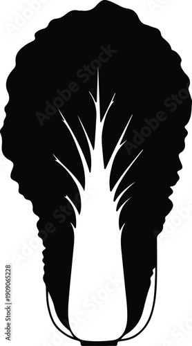 silhouette fresh chinese cabbage napa leaf vegetable for organic food vector design