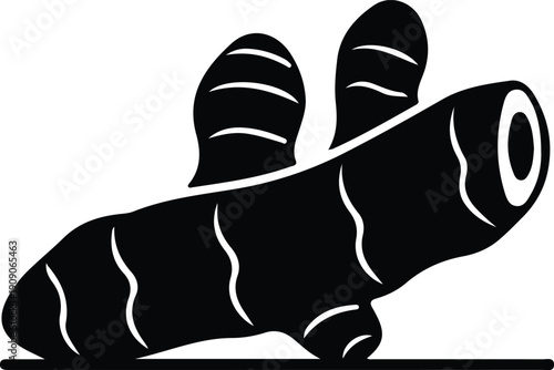 silhouette fresh ginger root isolated on white background for kitchen vector design