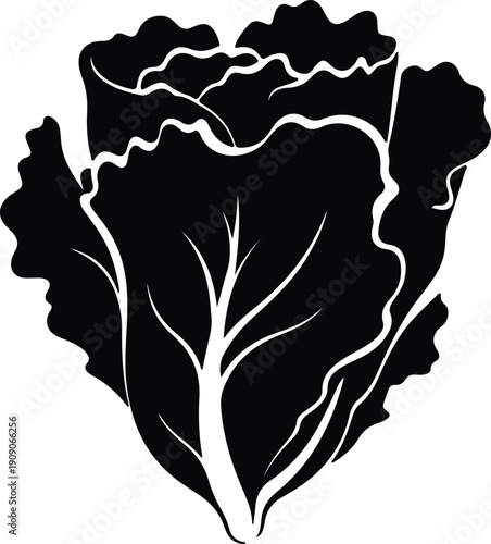 silhouette fresh organic napa cabbage vegetable healthy food icon vector design