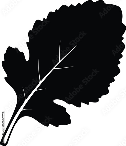 silhouette kale leaf with detailed veins isolated on white background vector design