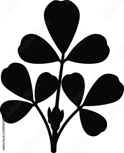 silhouette medicago sativa alfalfa leaf icon for natural herbal brand vector design