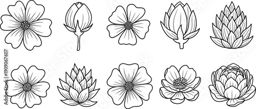 Set of ten hand-drawn botanical line art illustrations depicts various flower buds and fully bloomed blossoms in detail.