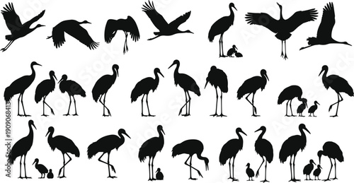 Large, collection, of, crane, bird, silhouettes, in, various, flying, standing, and, nesting, poses, including, elegant, herons, storks, egrets, for, nature, conservation, and, wildlife, design.
