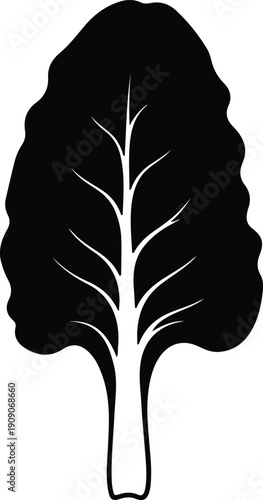 silhouette single fresh organic swiss chard leaf for healthy food vector design
