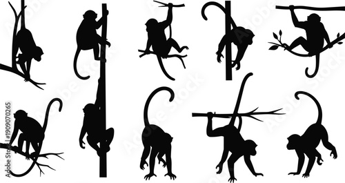 Monkey silhouette collection, set of climbing and swinging primate black shapes, tropical jungle animal icons, wildlife nature vector elements, monkey branch climbing silhouettes.