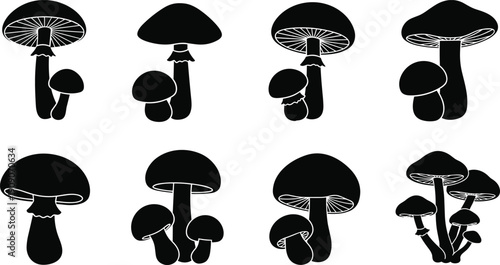 Mushroom silhouette collection, set of organic fungi black shapes, forest toadstool icons, edible and poisonous mushroom elements, nature wildlife vector graphics, autumn fungus silhouettes.