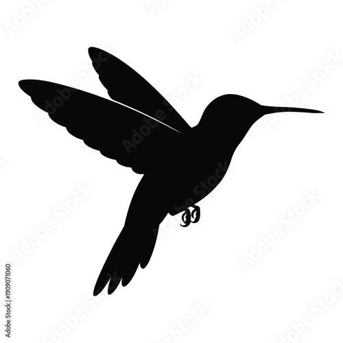 Hummingbird hovering, with wings spread Vector, Silhouette, Illustration