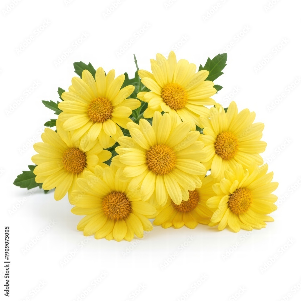 Naklejka premium Golden Blooms in Full View: A vibrant cluster of radiant yellow chrysanthemums, capturing the essence of floral elegance and nature's cheerful spirit.