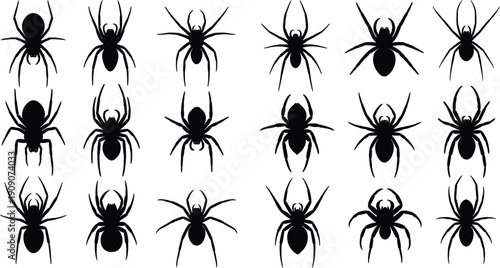 Spider silhouette collection featuring various arachnid poses, creepy crawling shapes and detailed insect forms isolated on white background