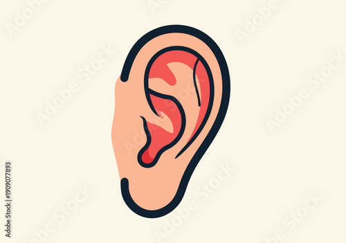 A minimalistic vector illustration of a human ear, depicting the external auditory anatomy