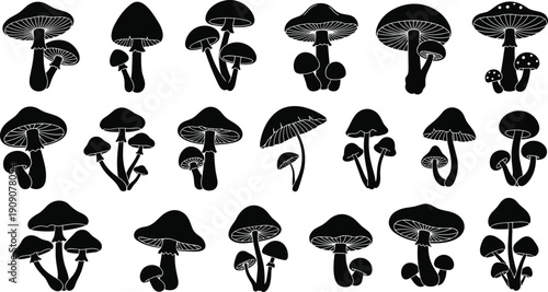 Mushroom silhouette collection featuring forest fungi varieties, wild edible and toxic species, botanical vector illustrations perfect for nature, foraging, and organic themes