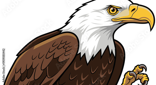 Bald Eagle Portrait - Fierce Bird of Prey Illustration