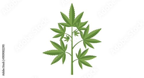 Cannabis plant illustration in flat design with white background