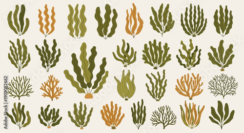 Collection of stylized seaweeds and corals in muted earthy tones
