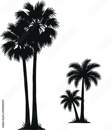 Palm tree silhouettes, tropical vector illustration, black botanical artwork, exotic jungle trees, coconut palms, beach design, summer vacation, island nature, tropical plants