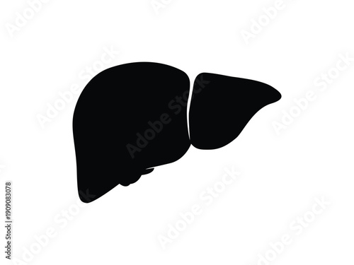 Simple black silhouette icon of a human liver, representing organ health and medicine.