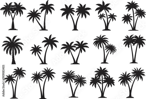 Palm tree silhouettes, tropical vector set, black botanical illustration, exotic jungle trees, coconut palm, beach design, summer vacation, island nature, decorative tropical plants