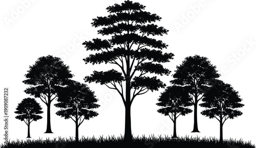 Landscape silhouette with tall deciduous trees and lush grass in a park or forest, nature background, cad drawing flat vector illustration